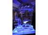 The Official Soho House and Grey Goose After Party at 86 Park Lane. 