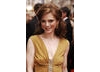 Emilia Fox on the red carpet at the British Academy Television Awards in 2008.