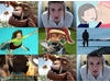Shorts Blog