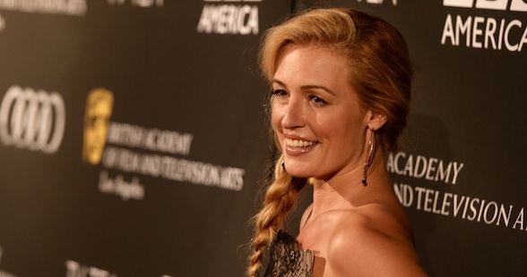 BAFTA Los Angeles TV Tea 2013