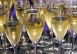 Taittinger Champagne flutes