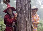The Colour of Magic TV Craft nominations: Visual Effects