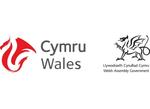 Creative Industries/Welsh Assembly Government