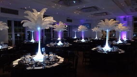 David Lean Room - Feathers