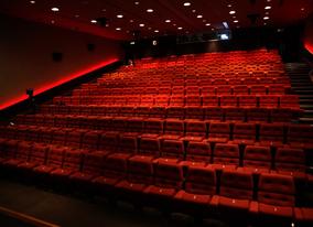 View of the purpose-built, 227 seat auditorium