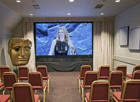 Presentation or film viewing setup