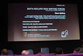 Harriet's Screen-Skills Blog 2